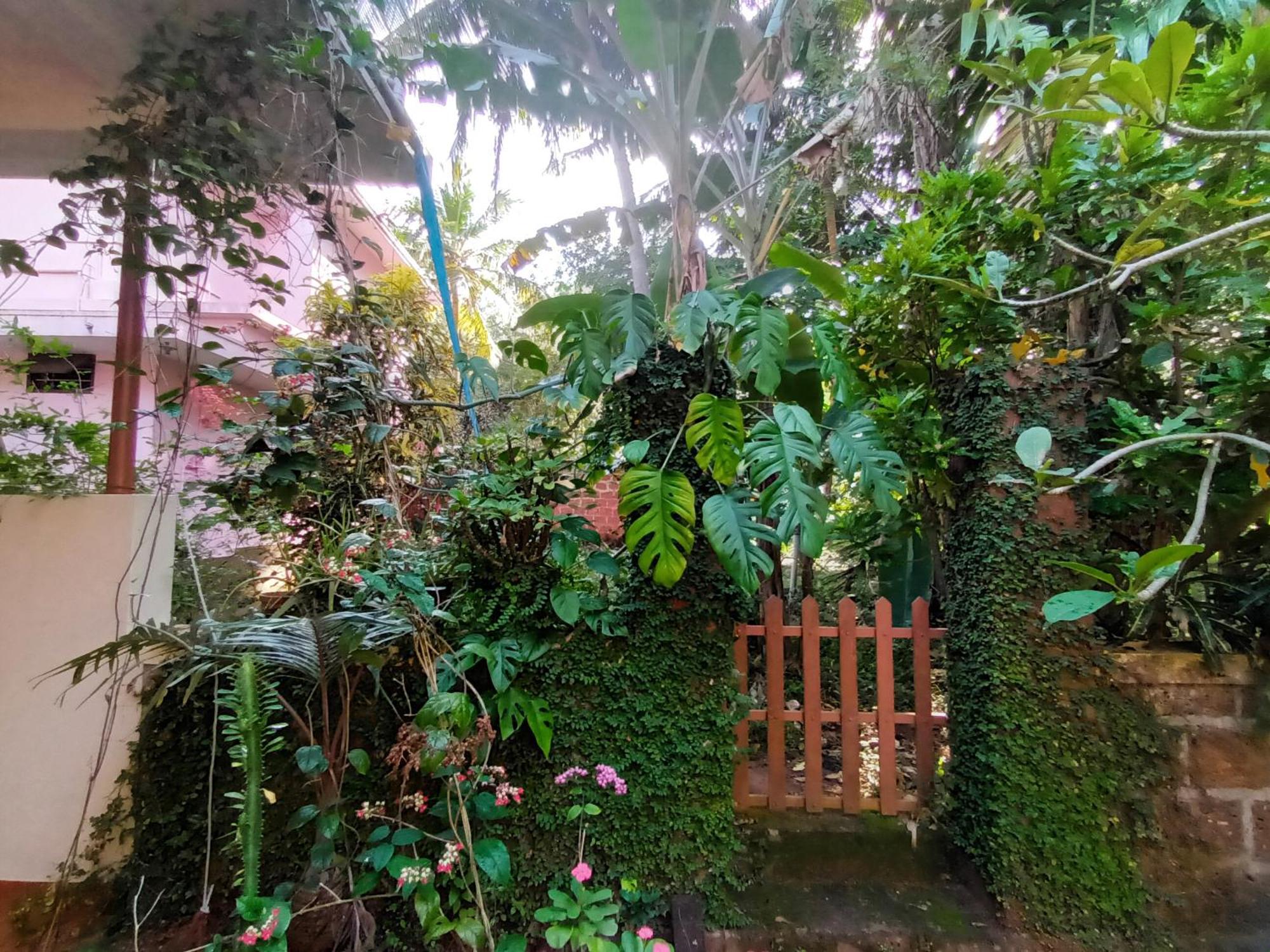 Ivory Coaste Hotell Kannur Exteriör bild