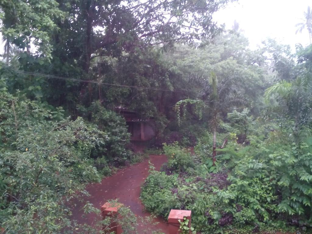 Ivory Coaste Hotell Kannur Exteriör bild